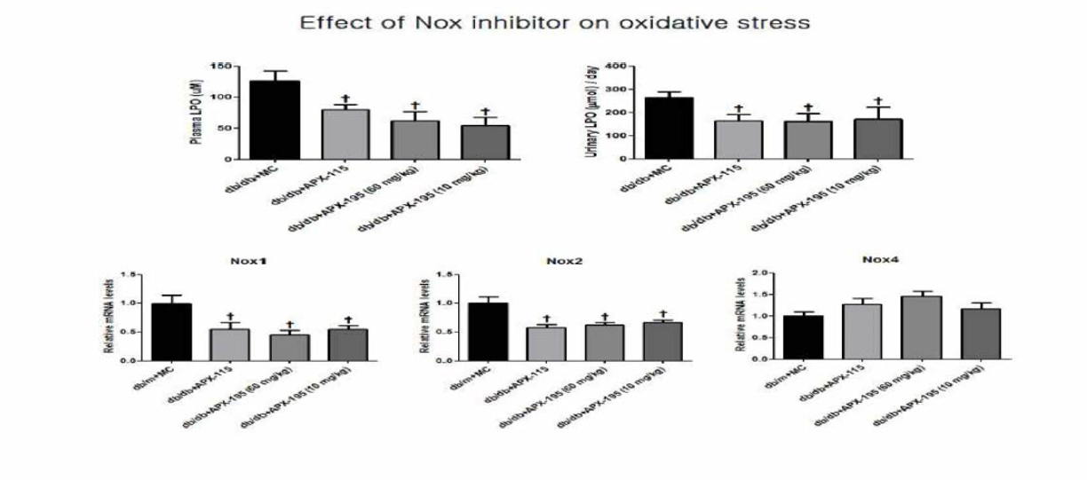실험동물에서 치료 3개월 후 신장의 산화성 스트레스 변화