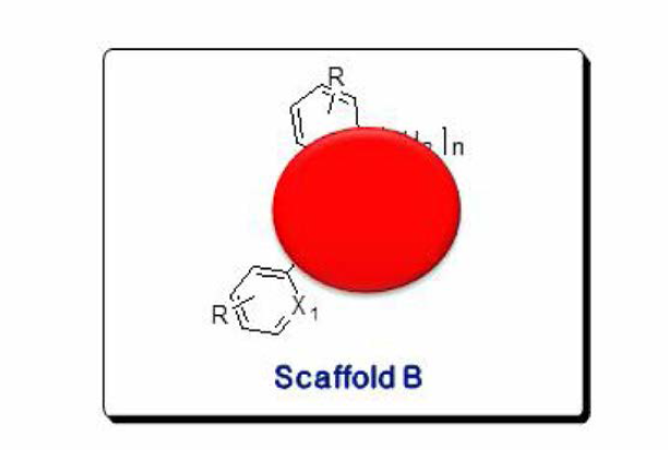 Scaffold B, 신규구조 화합물의 일반적 구조