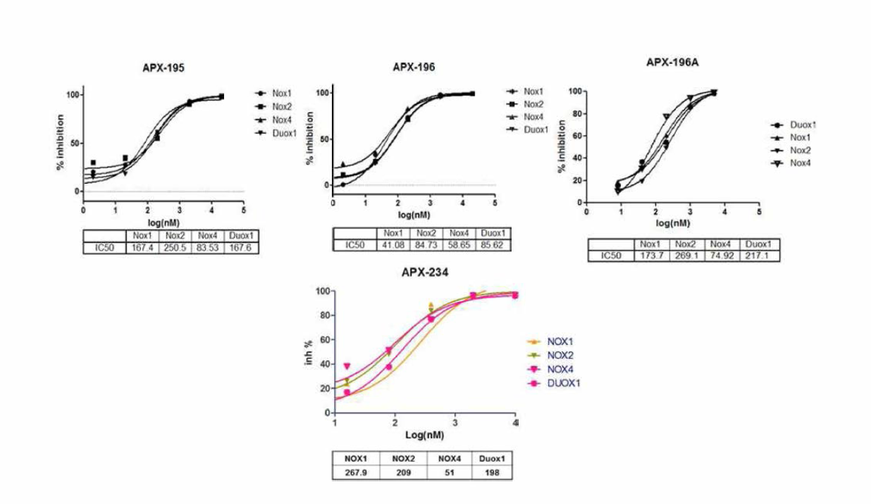 신규구조 화합물의 효소활성 스크리닝 결과 및 Nox4 선택활성 화합물 APX-234