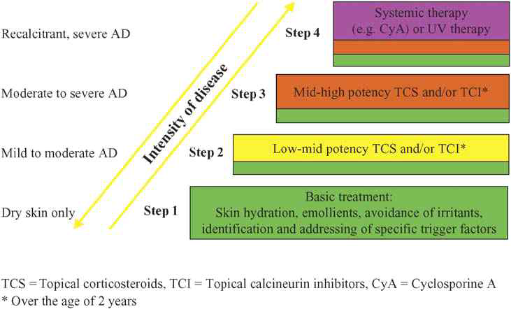 아토피 피부염의 정도에 따른 기존 치료 방법 (출처 : PRACTALL Report J. Allergy Clin. Immunol. 2006;18:152-69)