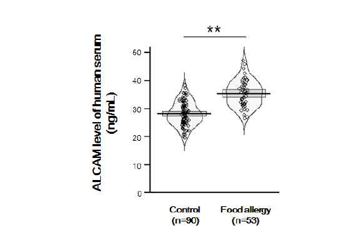 식품알레르기 환아의 혈청에서 ALCAM의 발현 확인