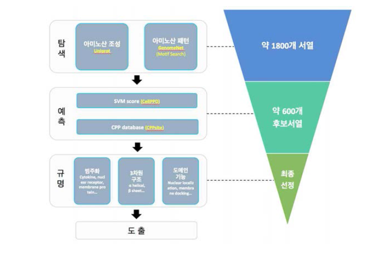 in silico 스크리닝 분석기법