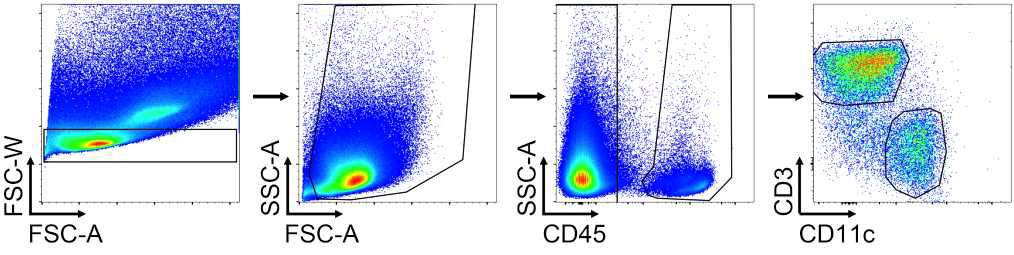 유세포 분석기를 이용한 Primary epidermal cell 분석 전략