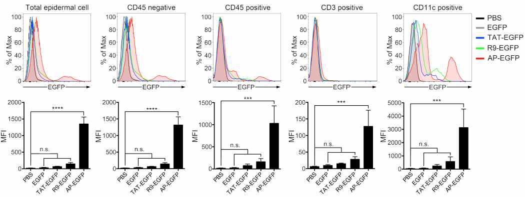 Mouse에서 얻은 primary epidermal cell에 TDP 유효서열 중 TDP1 (AP)을 5uM로 1시간 처리 후 FACS 분서기법으로 분석한 결과 기존에 잘 알려진 펩타이드 서열인 TAT, R9 보다 높은 효율로 전달됨을 확인