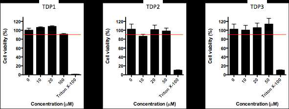 TDP 유효 서열인 TDP1, TDP2, TDP3 모두 ICD50 농도의 10배 농도까지 독성을 보이지않음