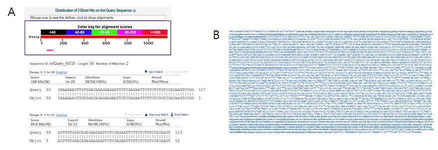 Sequencing을 통한 pMC-SOX9_SOX6_shANGPTL4의 확인. shANGPTL4 유전자의 확인 (A) 및 pMC-SOX9_SOX6의 full sequencing (B)