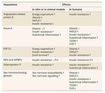 대사에서 알려진 hepatokines의 기능 및 대사질환과의 연관성