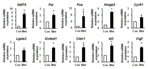 metformin 처치 후, heptatokine 후보 유전자 발현 변화. Mouse primary hepatocyte에 metformin (1mM, 8h) 처치 후, mRNA 발현을 측정함. Mean ± SEM, *p<0.05, n=3 each group