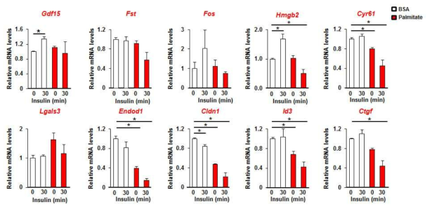 인슐린 저항성을 나타내는 primary hepatocytes에서의 hepatokine 후보 유전자 발현 변화. Mean ± SEM, *p<0.05, n=3 each group