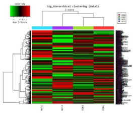 간세포에서 metformin처치 후 2차 transcriptome 분석, n=3 each group