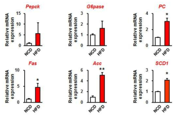 고지방식이를 먹인 마우스 간조직에서의 인슐린 저항성 관련 유전자 발현. Mean ± SEM, *p<0.05 **p<0.01, n=7-8 each group