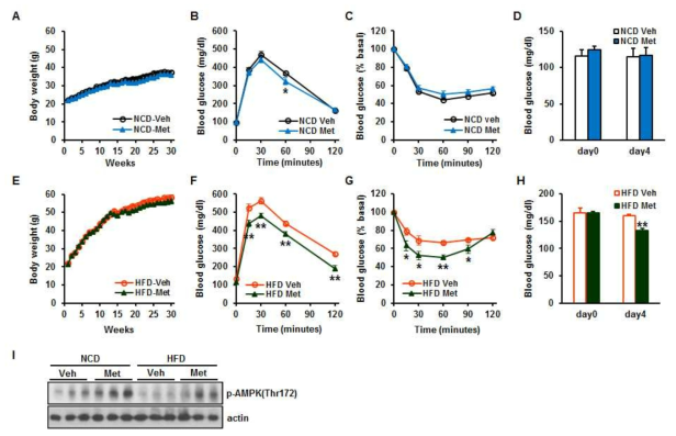 고지방 식이를 먹인 마우스에 metformindmf 투여시 (A) 체중 (B) 당 내성 (C, G) 인슐린 감도, (D, H, I) 혈당과 p-AMPK변화. Mean ± SEM, *p<0.05 **p<0.01, n=7-8 each group