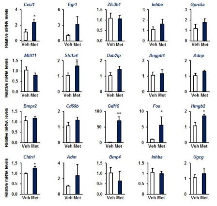 metformin을 주사한 마우스 간조직에서 발현이 증가되는 hepatokine 후보 유전자. Mean ± SEM, *p<0.05 **p<0.01, n=7-8 each group