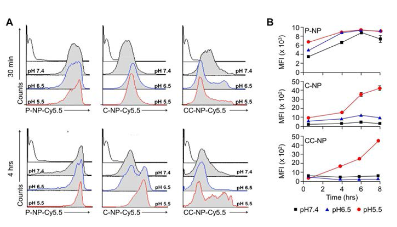 pH dependent uptake of bPEI NPs by Jurkat T cells. Flow cytometry analysis and quantification for uptake of NPs at different time point