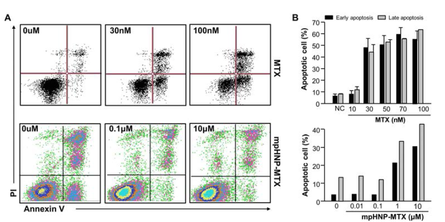 Measurement of dose-dependent apoptosis in jurkat cells after treatment of MTX and mpHANP-MTX. (A) Flow cytometric analysis of apoptosis in jurkat T cells by Annexin V/PI assay. (B) Quantification of early and late apoptotic cells at different doses of MTX and mpHNAP-MTX