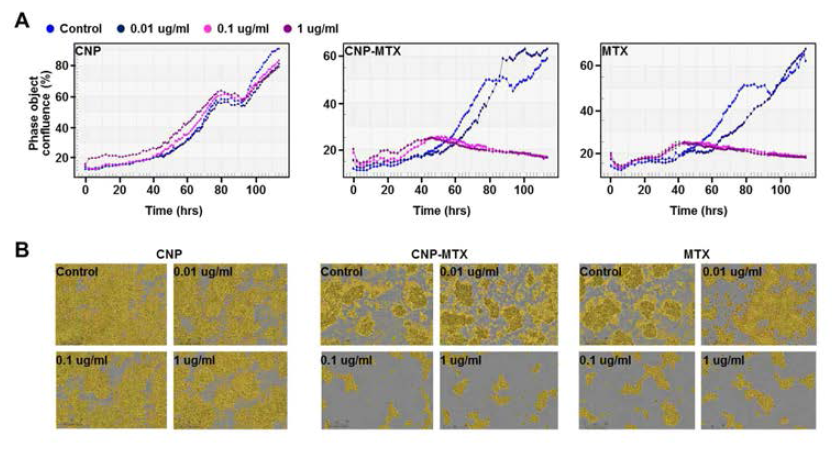 Proliferation profiles of C-NP or MTX loaded C-NP treated Jurkat T cells. Percent of confluence in cells by time course (A) and representative images (B)