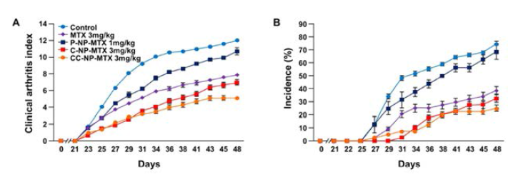 Therapeutic efficacy of MTX-loaded bPEI NPs in CIA mice. Mice were treated with MTX, P-NP-MTX, C-NP-MTX, CC-NP-MTX at 1mg/kg or 3 mg/kg twice in a week intravenously and arthritis severity score was determined. (A) Clinical arthritis index (B) Incidence of arthritis. Results were expressed mean ± SEM (n = 10)