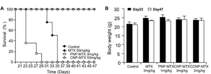 In vivo toxicity of P-NP, C-NP, CC-NP treated CIA mice at 3mg/kg was measured at different time points