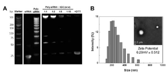 Physicochemical properties of siRNA-NPs. (J control Release, 2015;216:140)