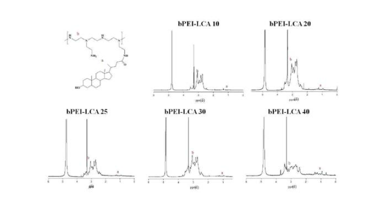 양이온성 양친성 고분자의 구조 및 1H NMR 스펙트럼