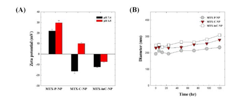 MTX 함유 나노입자의 물리화학적 특성 분석 (A) pH에 따른 표면전하 (B) 수성환경에서의 입자크기 변화