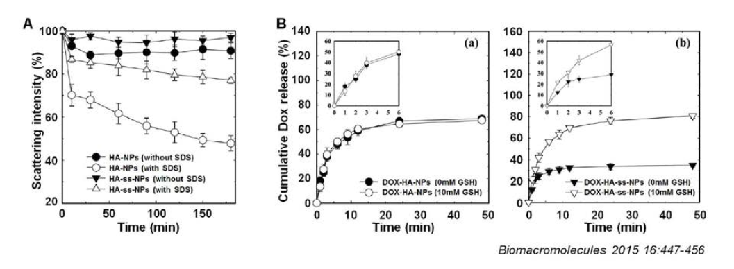 (A) Changes in light scattering intensities of HA nanoparticles as a function of time. (B) In vitro release behavior of DOX from HA nanoparticles in the presence and absence of GSH: (a) DOX-HA-NPs and (b) DOX-HA-ss-NPs. Insets are magnified drug release graphs (0−.6 h)