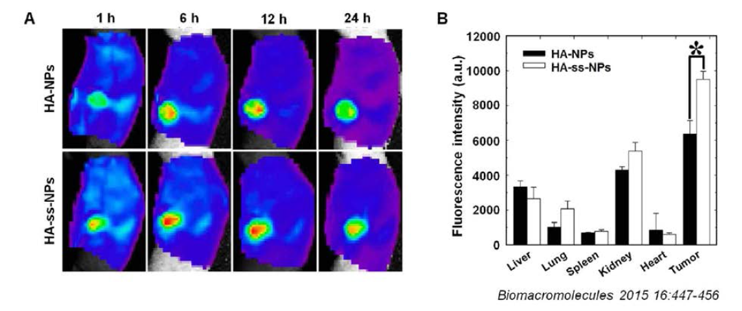 In vivo noninvasive fluorescence imaging of HA nanoparticles in tumor-bearing mice. (a) Time-dependent whole body image of athymic nude mice bearing SCC7 tumors after intravenous injection of Cy5.5-labeled HA nanoparticles. (c) Quantification of the ex vivo tumor-targeting characteristics of HA nanoparticles in tumorbearing mice