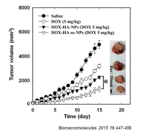 Tumor growth of SCC7 cancer xenografts treated with saline, free DOX, DOX-HA-NPs, and DOX-HA-ss-NPs at a DOX dose of 5 mg/kg. Insets are representative tumor images excised 16days post-treatment