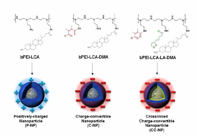 생체환원성 표면전하 전환형 나노입자 및 대조군의 모식도