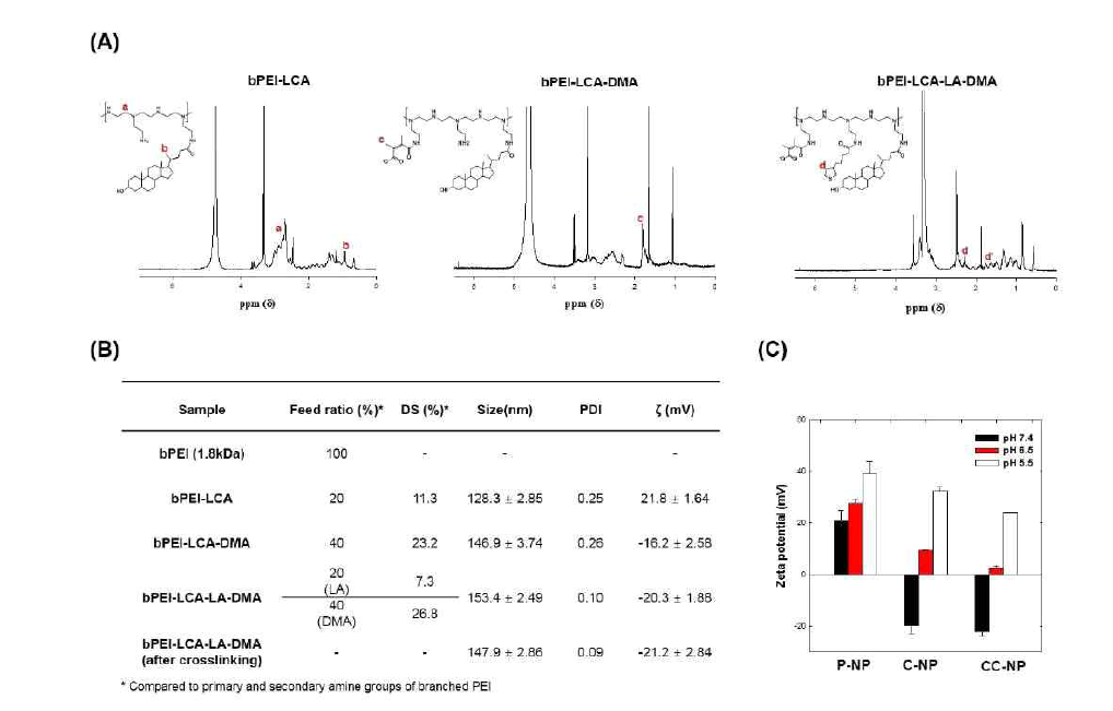 생체환원성 표면전하 전환형 나노입자의 구조 및 특성 (A) 1H NMR 스펙트럼, (B) 물리화학적 특성 분석, (C) pH에 따른 표면전하 변화