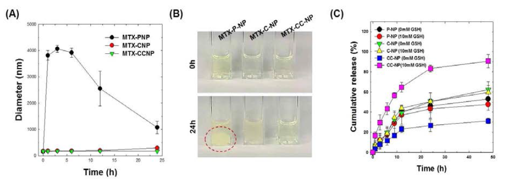 (A) 생체모방 수성환경에서 나노입자의 안정성 평가, (B) 나노입자의 안정성 평가 전·후 비교 사진, (C) in vitro 약물방출 거동 평가