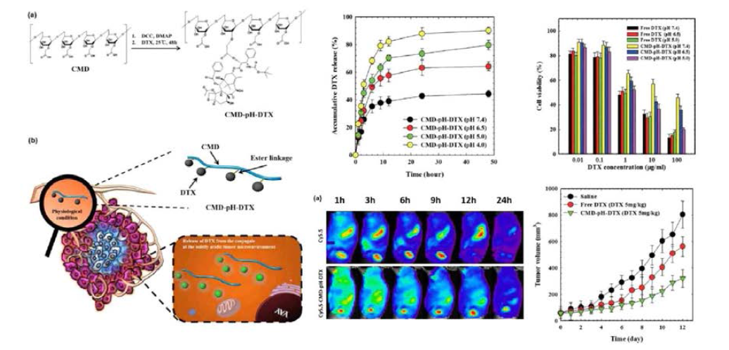 pH 감응형 고분자-약물 접합체 개발 J. Biomed. Mater. Res., Part B (IF: 3.189) 2016; 1048; 789-796