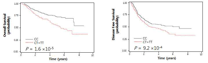 SNP rs2257609C>T에 따른 생존 그래프