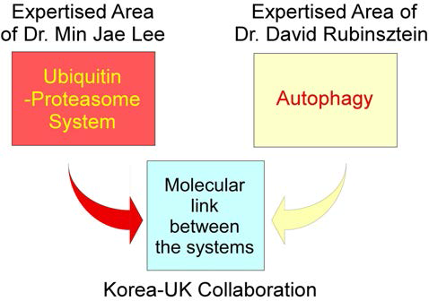 한국과 영국의 두 연구자 간의 전문연구분야와 공동연구목표