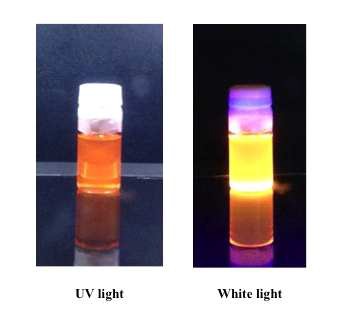 합성한 양자점 나노입자를 UV 및 white light으로 illumination 했을때의 사진(Cu/In 비율은 1)