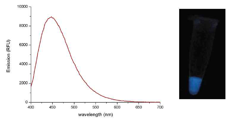 PEI carbon dot 나노입자 형광스펙트럼(좌) 및 UV 사진(우)