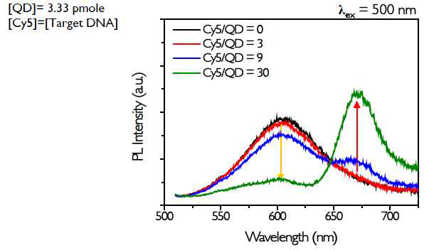 DNA 개질된 CdTe/CdS 양자점 나노입자에 표적 DNA 및 detection probe로 Cy5-oligonucleotide를 첨가하여 비율에 따른 발광스펙트럼의 변화 측정 결과