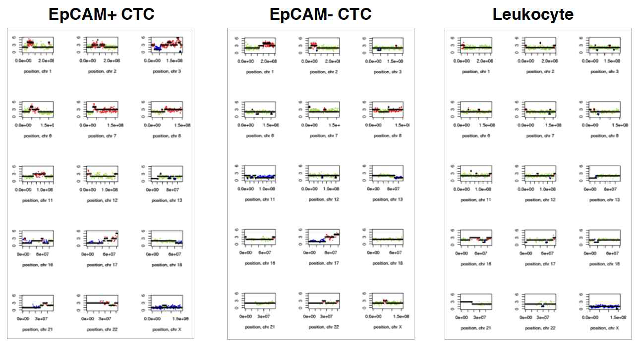 EpCAM+ 및 EpCAM- 암세포주에서 CNV를 분석한 결과