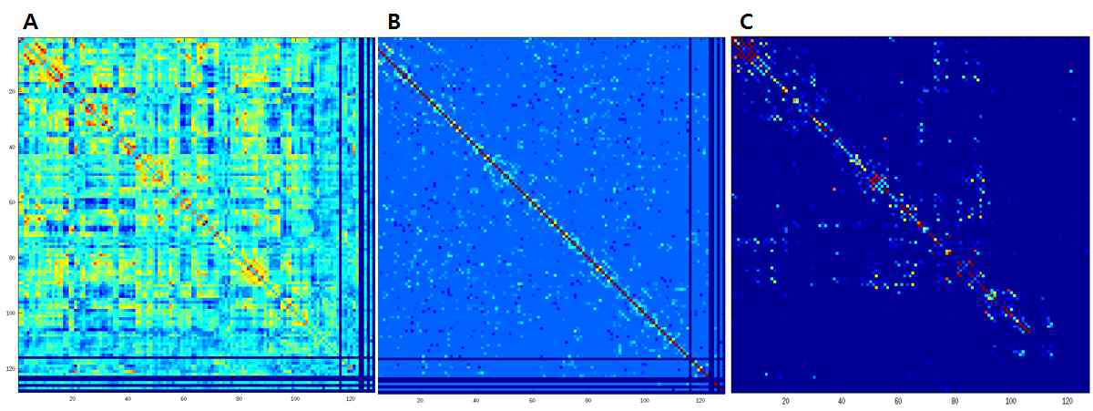 A. Pearson Correlation Coefficient을 이용한 기능적 연결성 인접행렬 과 B. STARS방법을 이용해 labmda를 구한 Partial Correlation Coefficient 방법을 이용한 편상기능연결성 인접행렬. C. 신경다발영상(DTI)의 개수로 구성된 인접행렬