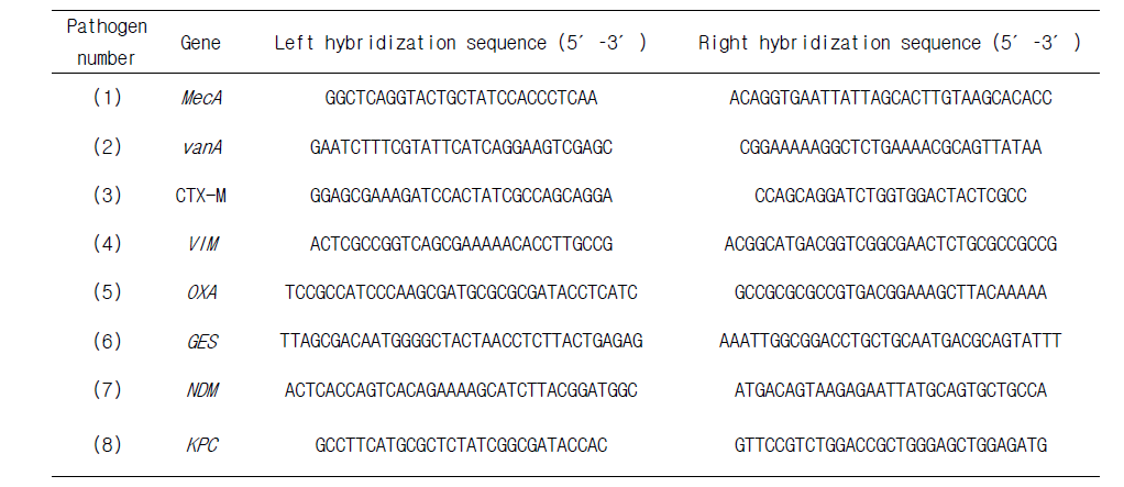 다제내성 관련 유전자의 MLPA probe sequence