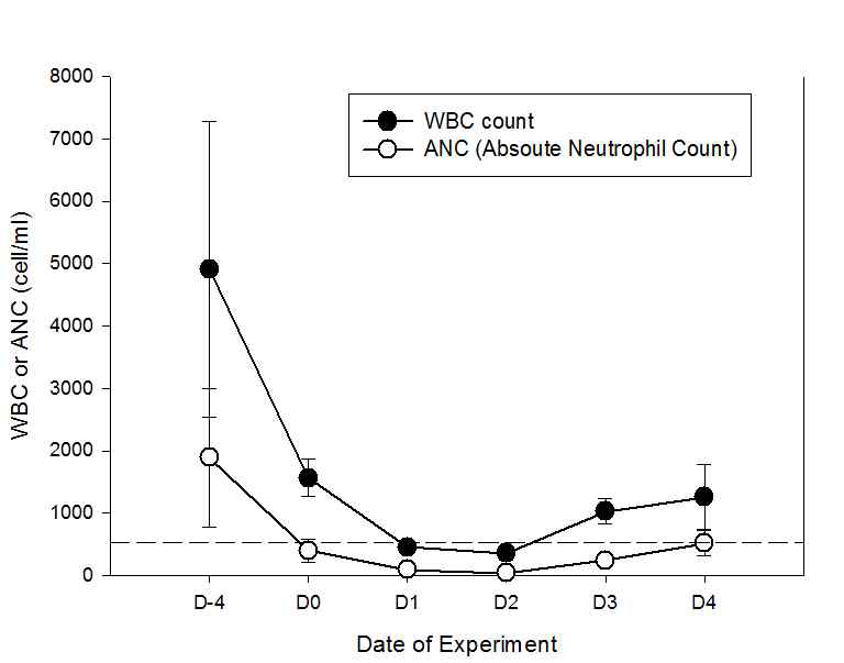 WBC와 neutrophil 수 변화 모니터링을 통한 cyclophosphamide 접종 후 neutropenic 마우스 모델 확립