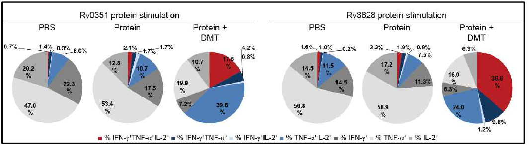 Rv0351 및 Rv3628 정제단백질로 자극 후 유도된 다기능성 CD4 T 세포