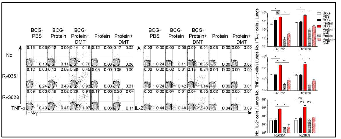 Rv0351 및 Rv3628 정제 단백질로 자극 후 폐의 CD4 T 세포에서 분비된 Th1 cytokines