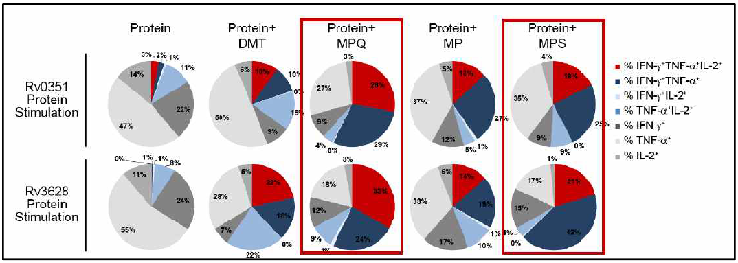 Rv0351 및 Rv3628 정제단백질로 자극 후 유도된 다기능성 CD4 T 세포