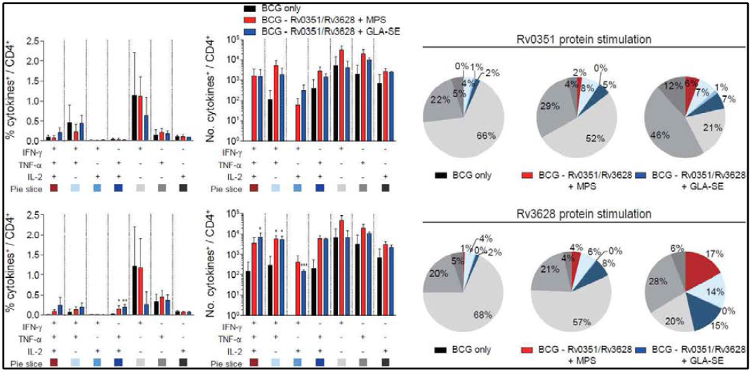 Rv0351 및 Rv3628 정제 단백질로 자극 후 폐의 CD4 T 세포에서 분비된 Th1 cytokines와 유도된 다기능성 CD4 T 세포