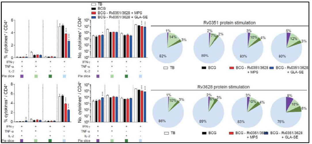 Rv0351&Rv3628 단백질 자극 후 폐 CD4 T세포에서 유도된 cytokines 및 다기능성 CD4 T 세포