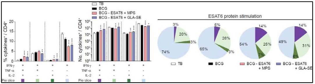 결핵 감염 후 폐의 ESAT6 특이적 CD4 T세포에서 유도된 cytokines 및 다기능성 CD4 T 세포