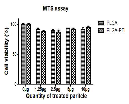 PLGA와 PLGA-PEI 나노파티클의 세포 생존력 측정 결과