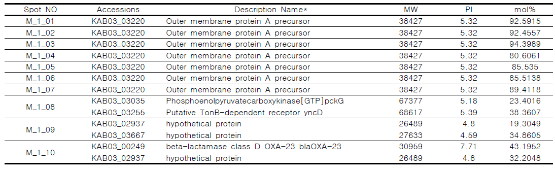 동정된 단백질 목록