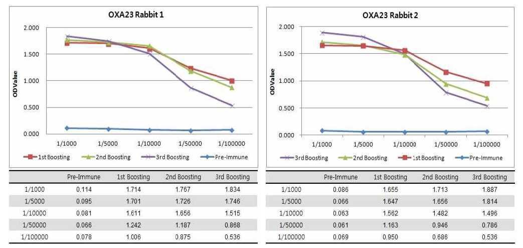 OXA23의 1, 2, 3차 boosting 후 혈청을 이용한 ELISA 역가 확인